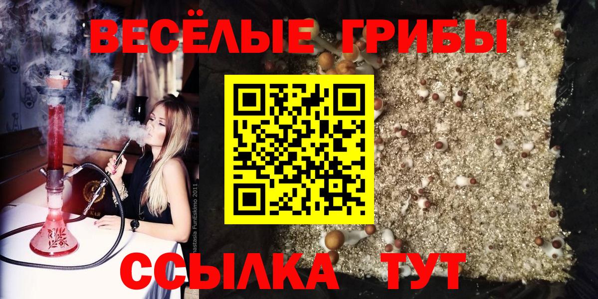 Мефедрон   МАРИХУАНА  Междуреченск  А ПВП СК   ТГК  Кокаин  ГАШИШ  Вход с VPN 